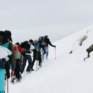 Ski resorts - 斗鱼直播